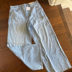 AE Strigid Low-Rise Ultra Wide-Leg Jean 10 LONG